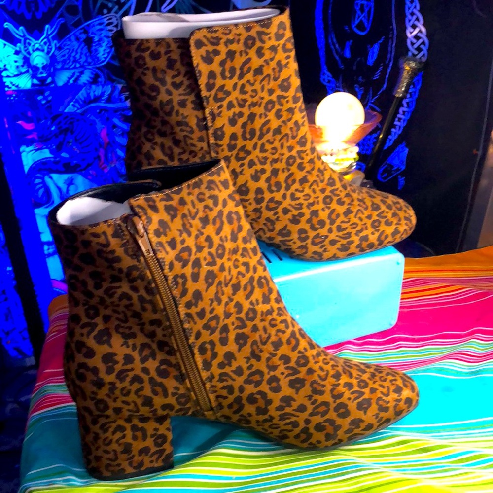 Lane Bryant Boots